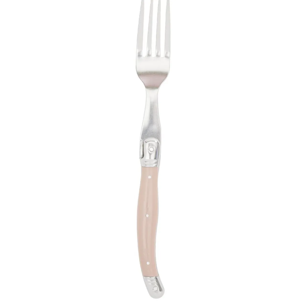 Fourchette inox manche multicolore x6