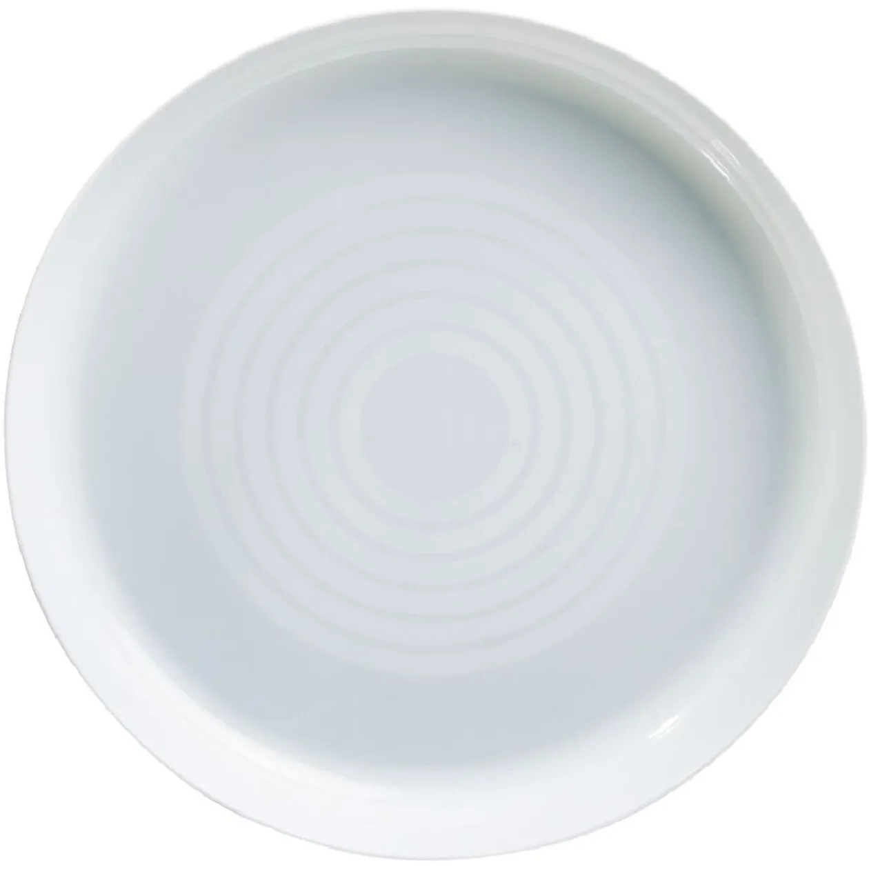 Lot de 6 assiettes en plastique réutilisable