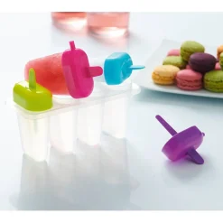Moule à glace x4