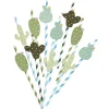 Paille cactus x20